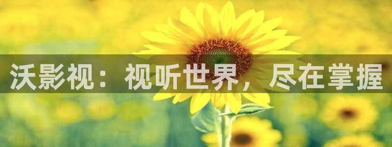 好看影院在線觀看電影